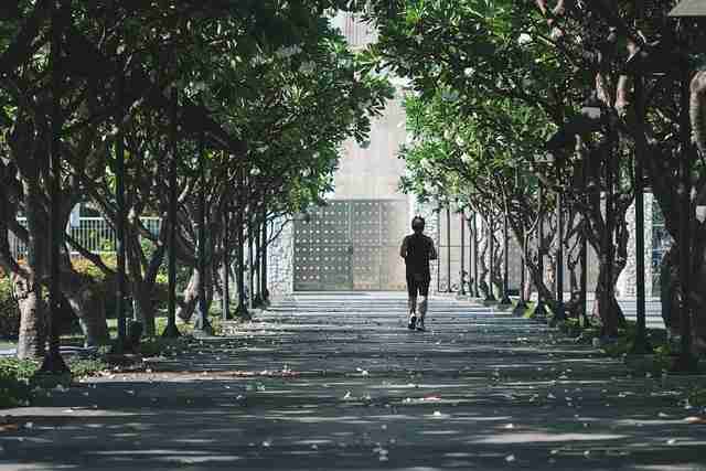 onlyfnas官网爆款生成逻辑还原｜视频封面视觉研究再次登顶榜首